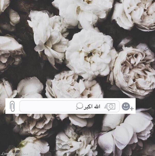 ﴿تَوَفَّني مُسلِمًا وَألْحِقنِيْ بالصَّالحِينَ﴾.