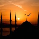 Deborah Waller - @aserkanceylan - Twitter