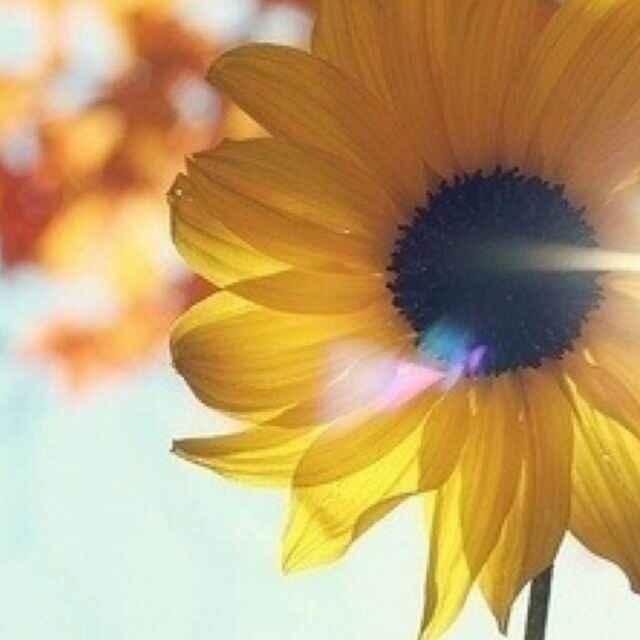 ChenlonChenlong's profile picture. 一个曾经的腰突患者，一个生命旅途上的坚强斗士，一个市场经济的坚定支持者。