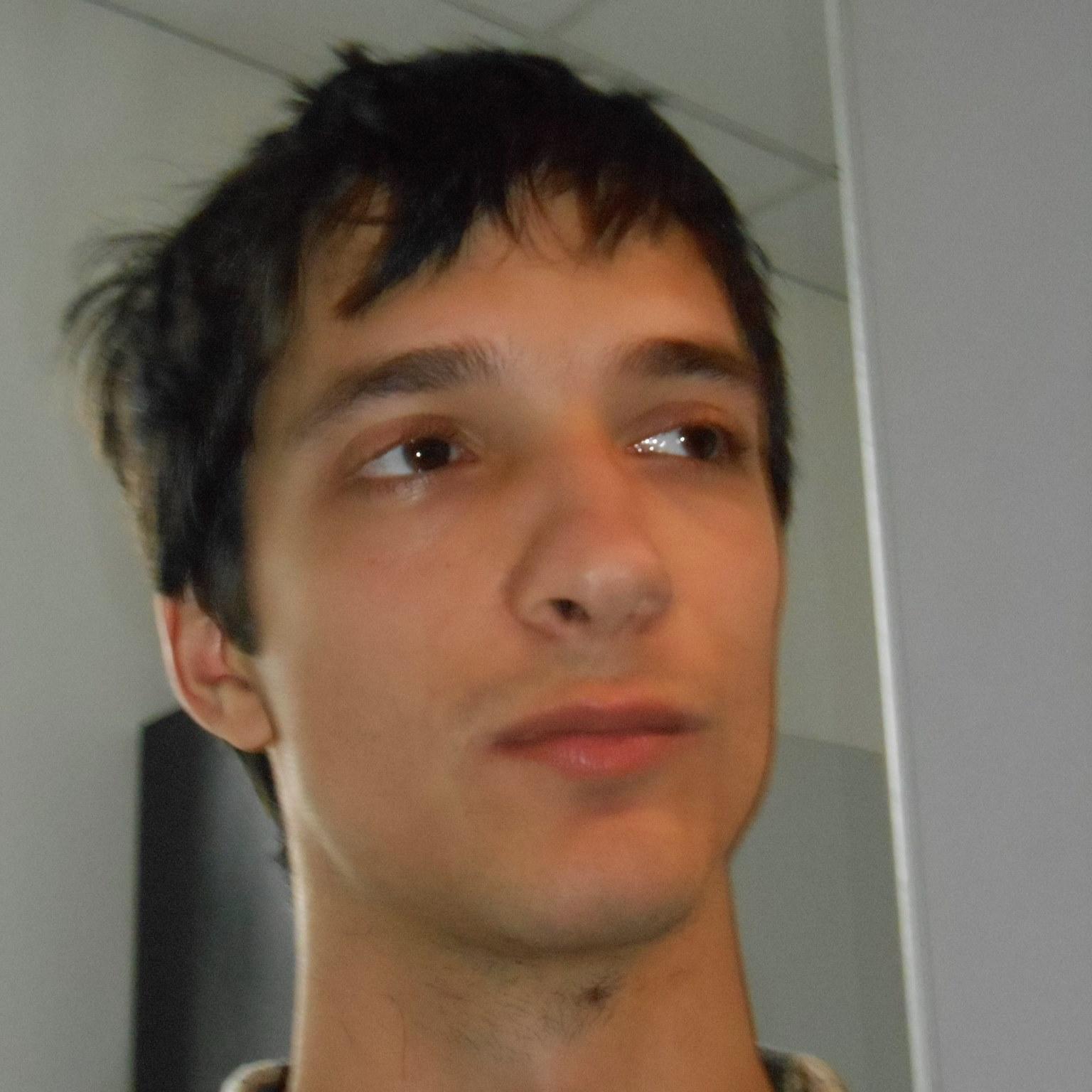 Engineer, programmer