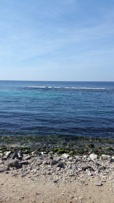 Ahmg2012Amen's profile picture. 