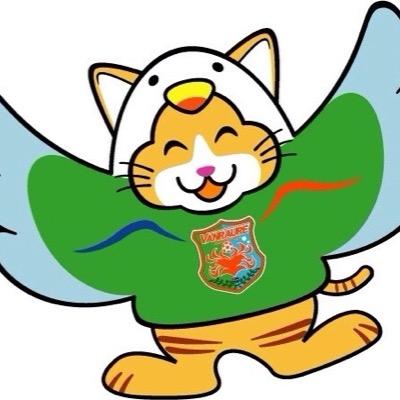 八戸のリノベーション美装goodオリジナルキャラクター プロフィール 出没先 東京 大阪 仙台 札幌市 ヴァンラーレ八戸 ホーム戦美装 good工事現場 2003年2/22日生まれ 10歳 A型 茶トラのティガが八戸市の市鳥うみねこの着ぐるみを着用‼[