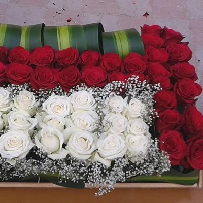 munasingapore's profile picture. 