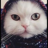 melek aydemir (@_mlkaydmr_) Twitter profile photo