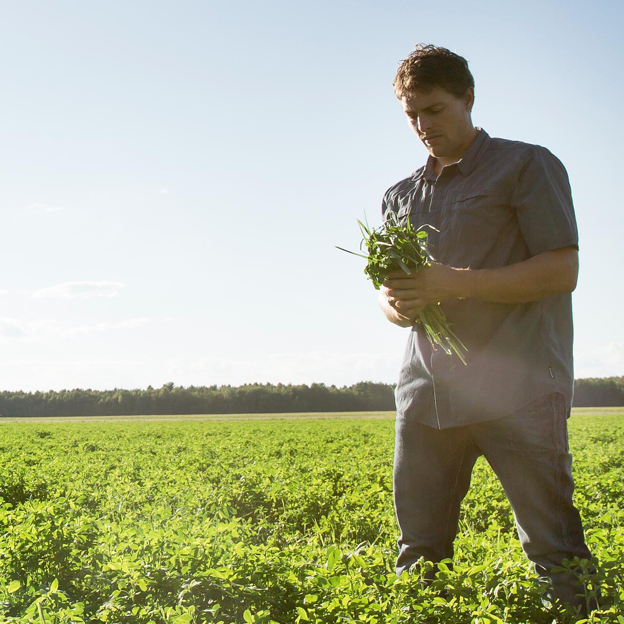 Regenerative Farmer designer entrepreneur! Cover crop and soil health lover! try to find  thé Flower path!