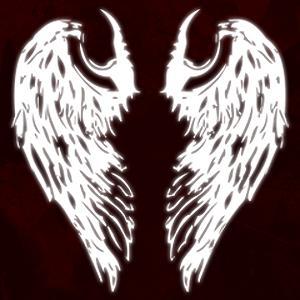 Combining angelic operatic female vocals with demonic thunderous metal riffs, HolyHell is something new and unexpected in the world of heavy music.