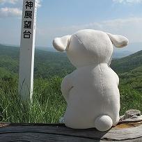 はぐれたひつじ（シープ）