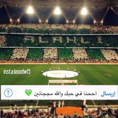 pin:7D4CAB07
snap:wile_15