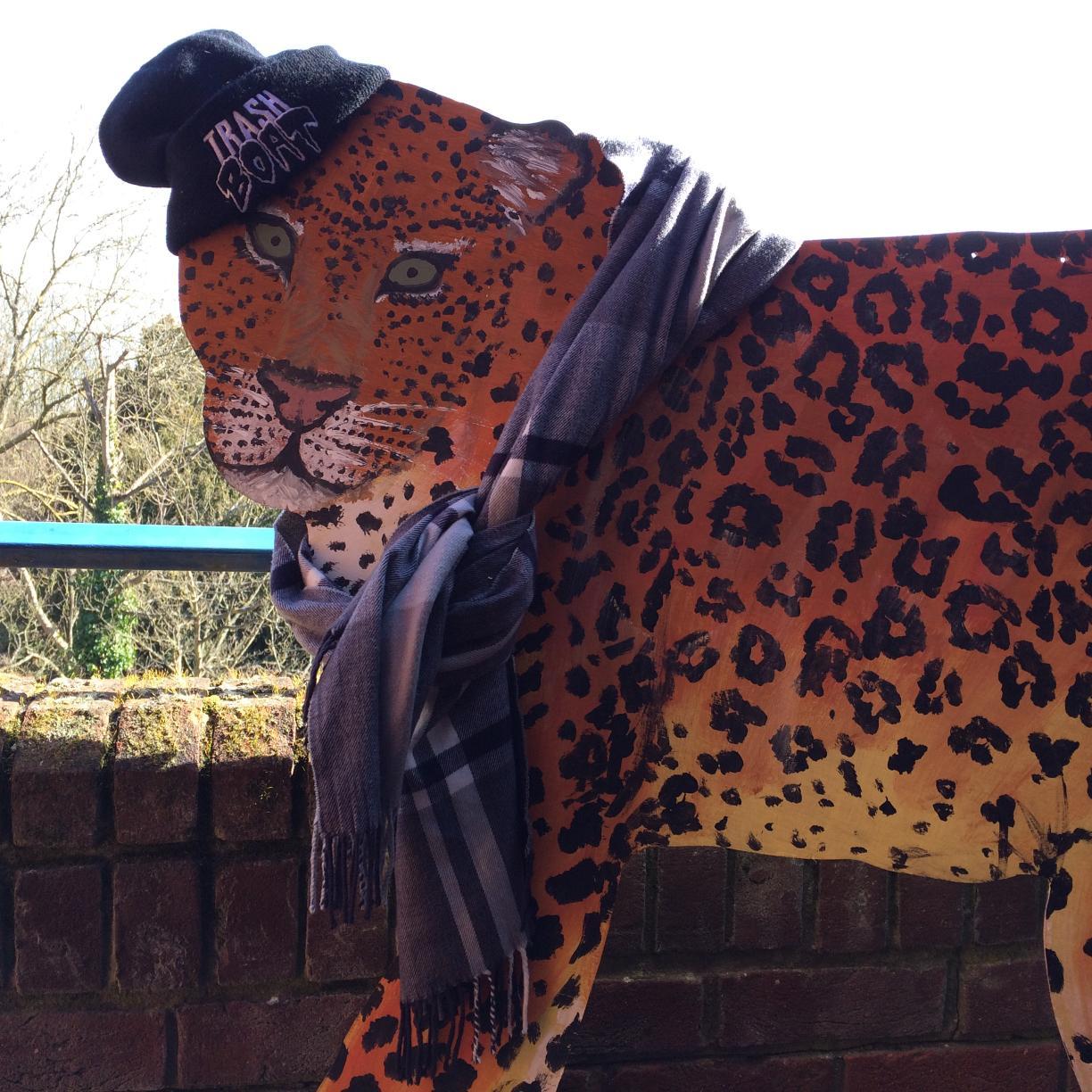 Jaguar livin' in robinson college, cambridge. often sighted in the bop room #jagswag