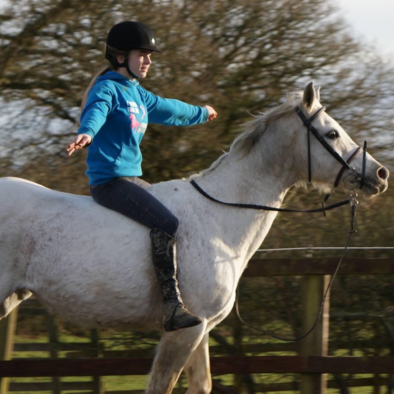 Avi & Header are mine - Luna & Alfie - Krystal Cascade & Alfie Enchanted - @PrincessClexa is my photographer ;)