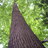 zoo3o00's profile image