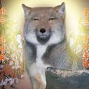 돼지니어스 (@015308f5922d4ba) Twitter