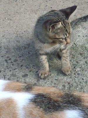 7e4e3862d68b495's profile picture. 