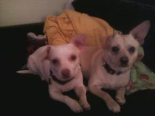 ZawodskyShelly's profile picture. 