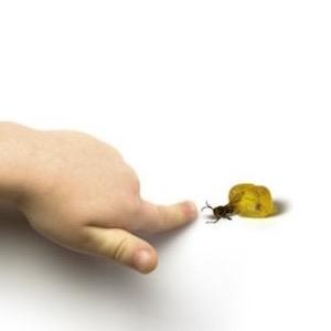 kathy_vegas's profile picture. 