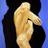 Sophie_Cairns's profile image