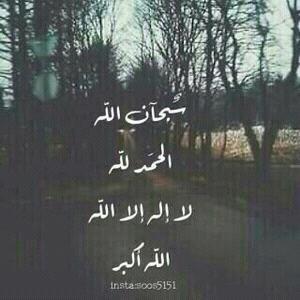 *من حسن إسلام المرء تركه  مالا يعنيه *
