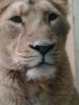 nicolasd695's profile picture. 