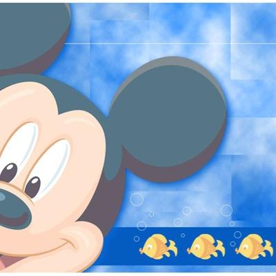 ディズニー相互フォロー支援botです！ ①このアカウントをフォローする②このアカウントのフォロワーをフォローする ディズニー好きと繋がりたい人フォローお願いします！