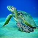 Elly Cook - @cook_elly - Twitter