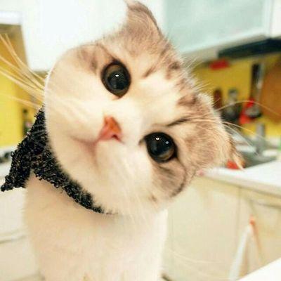 영연히 사랑해요...슈퍼주너어♥