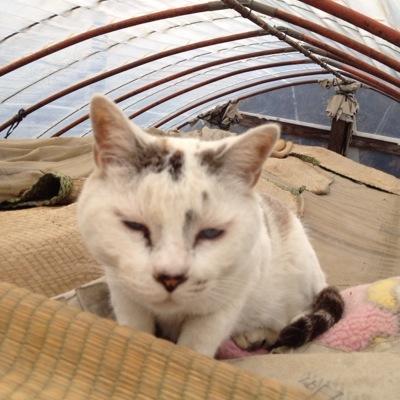 三途の水先案内人さんのプロフィール画像