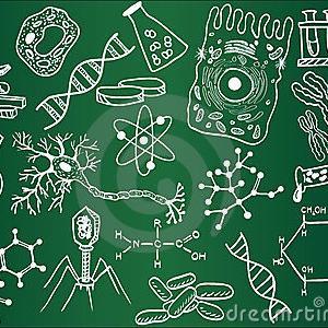 Humanos, curiosos por naturaleza, amantes del saber, sigue tus instintos aquí, en @EsdeCiencia