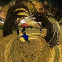 Hoan Tran (@k09ht) 's Twitter Profile