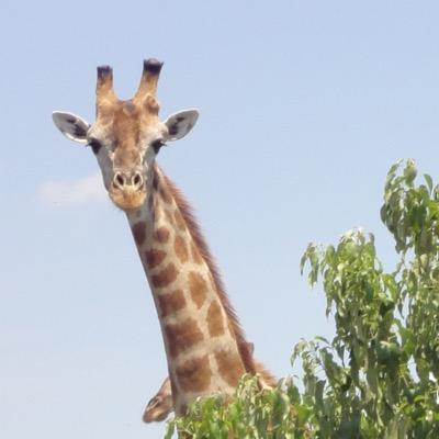 manilse82's profile picture. 