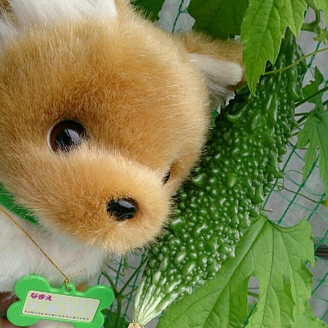 さかきさんさんのプロフィール画像