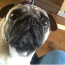 Sian Carter - @siancarter61 - Twitter