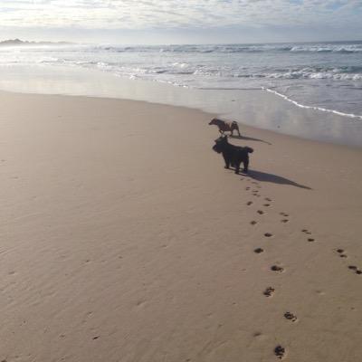 riaanvancoller's profile picture. 