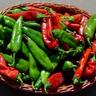 ThePepperDigest's profile picture. Tweeting and retweeting everything about peppers, hot sauce, salsas, and spicy foods! @ us to be featured 🌶🌶🌶