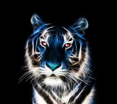 every thing is awesome