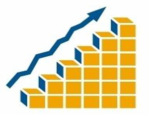 Executive Search/Placement, Employee Surveys, 360, Executive Coaching, Organazational Development