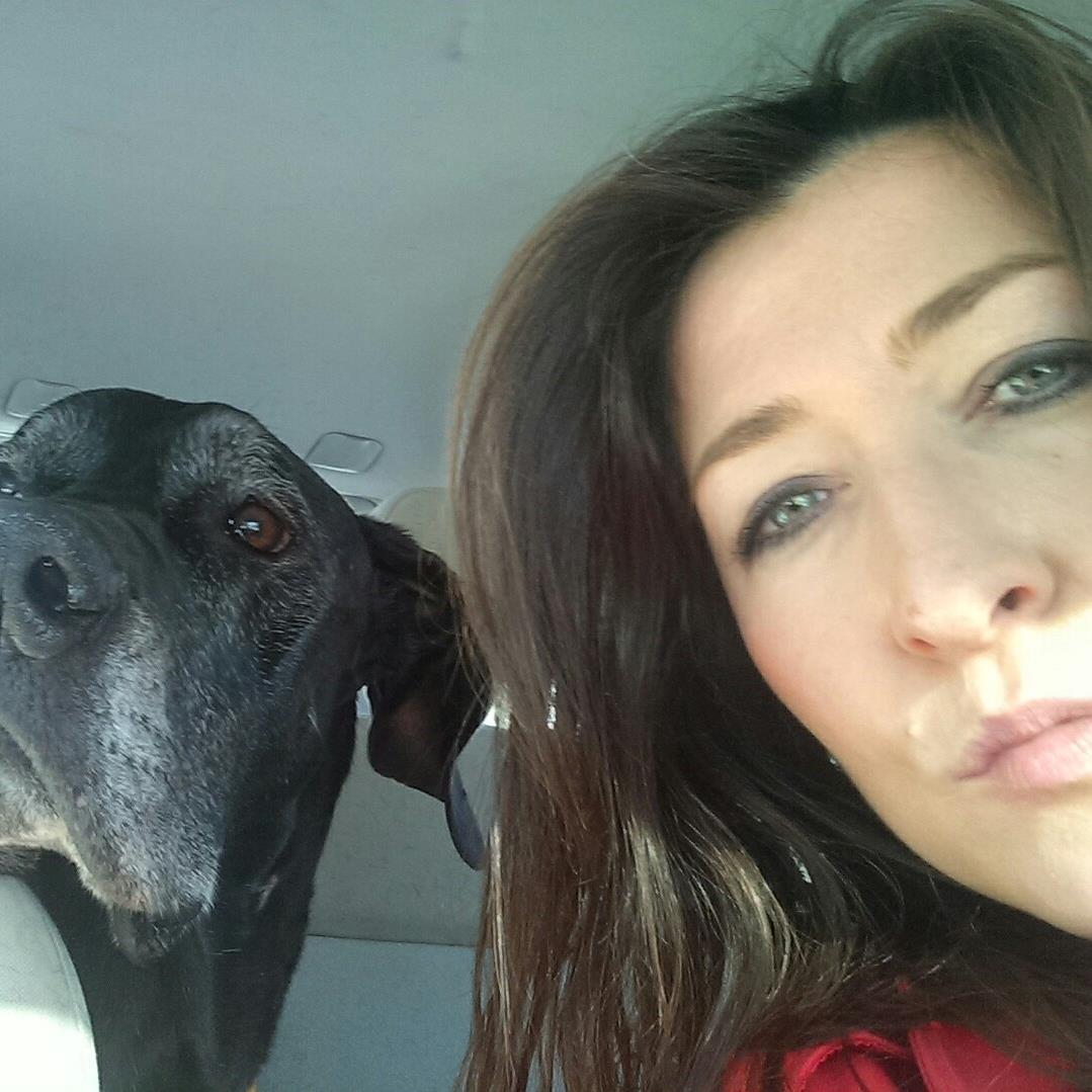 SellsNHhomes's profile picture. 