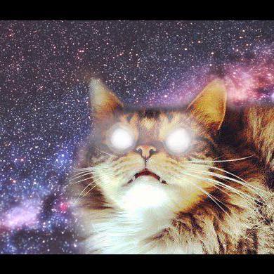 BrayGatos's profile picture. Steam: smalg1