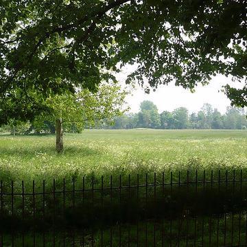 Sharing the latest sustainability news, insights and events in Oxford.