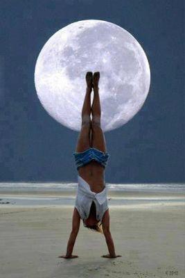 maritz82's profile picture. 