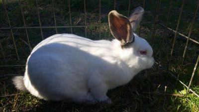 justjonesed's profile picture. 