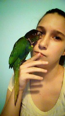 help find my lost bird! :( i add anyone with a parrot as their profile picture.