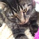 jamie thrush - @JamieThrush - Twitter