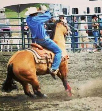 Tiedown Roper & Teamroper Love rodeo and spending time with my family my boys play minor hockey and the girls rodeo with me in the summer !!