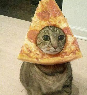 REcaprichosa4's profile picture. 