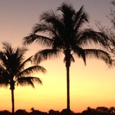 calvados_any_1's profile picture. Coffee, coffee, coffee, coffee, water, water, water, water, water, water, beer, sparkling water, wine, wine, sparkling water, liquor, liquor, liquor. Repeat...