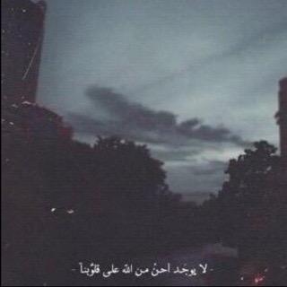 ﴿واذكر ربكَ إذا نسيتْ﴾