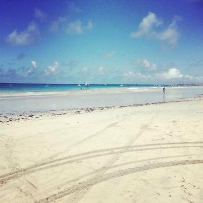 AdanJohnson12's profile picture. 