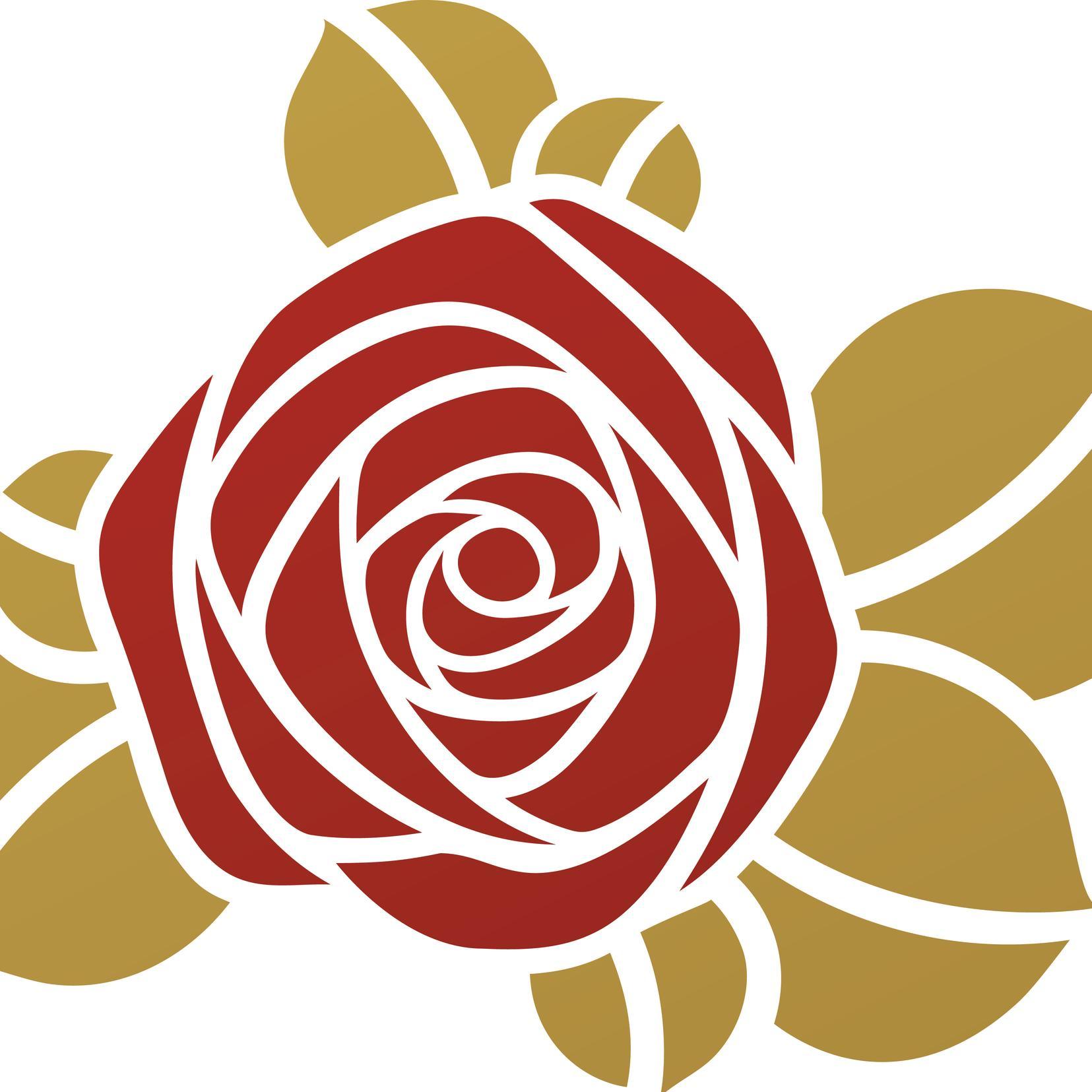 FabFloralCakes's profile picture. Wedding and celebration cakes, all adorned with handmade sugar paste flowers, based in Lincolnshire.