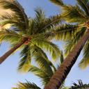 polly esther - @Pollyesthercomo - Twitter