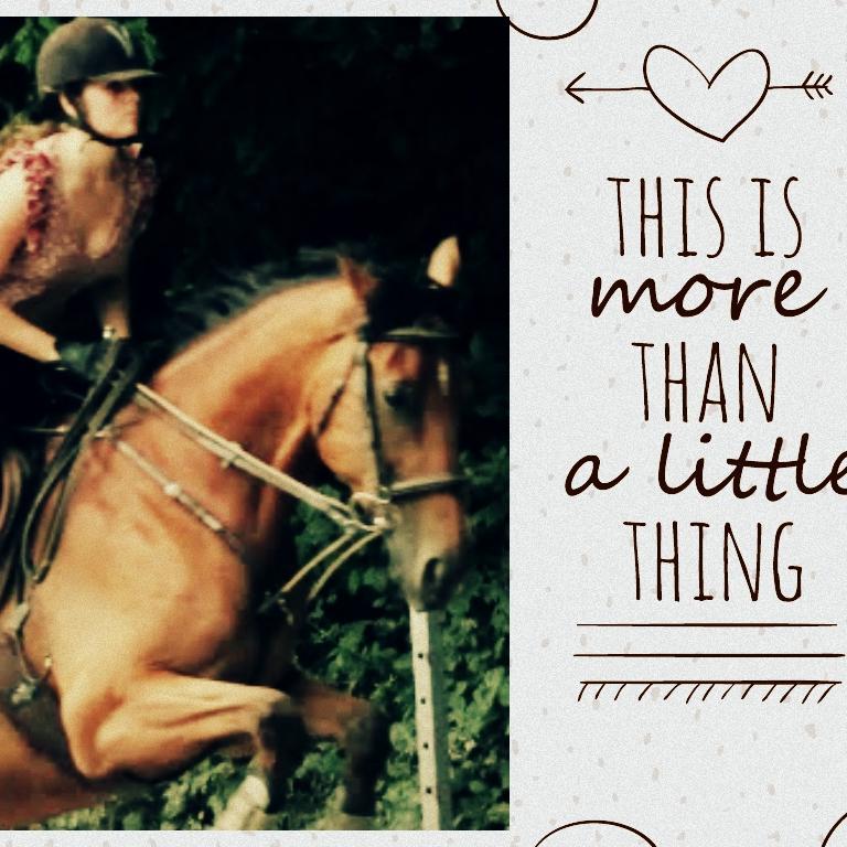 EliseIvoix's profile picture. 